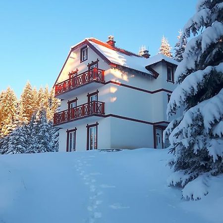 Vila Natasa Kopaonik Exterior photo